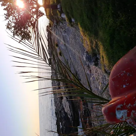 Summer Nest Lovrečica
