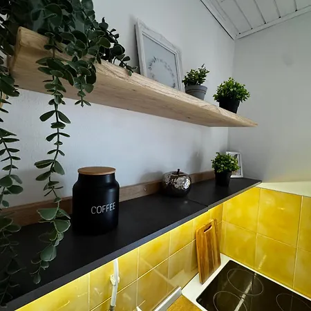 Apartment Summer Nest *