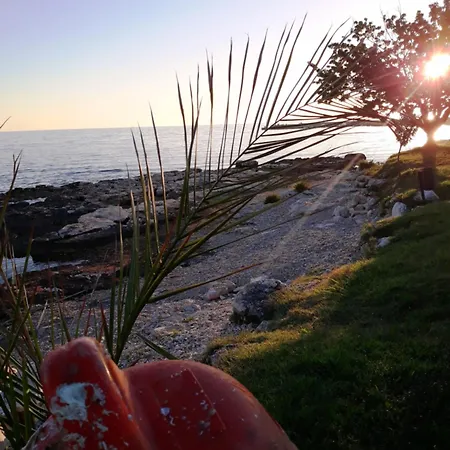 Apartment Summer Nest Lovrecica (Istria)