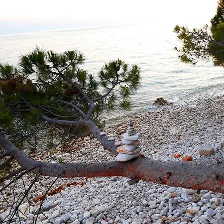 Summer Nest Lovrecica (Istria)